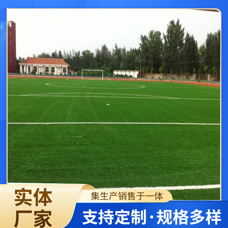 随州市篮球场硅PU人造草坪 - 方案